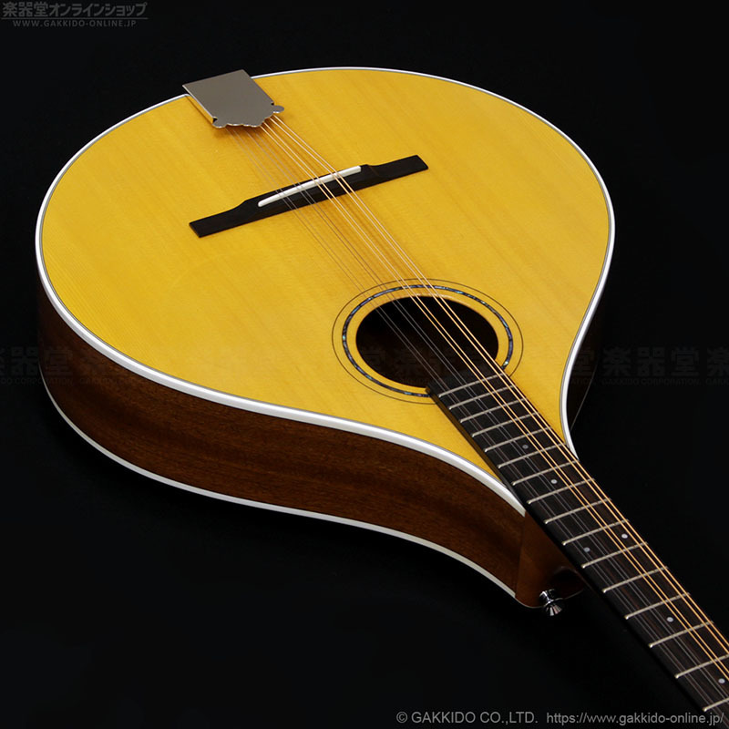 アイリッシュ・ブズーキ・ギター Irish Bouzouki Guitar - 弦楽器