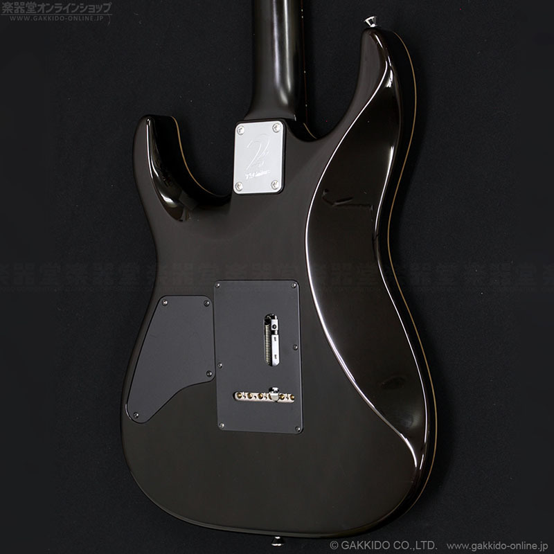 T's Guitars DST-Pro 24 Trans Black 認定証付属