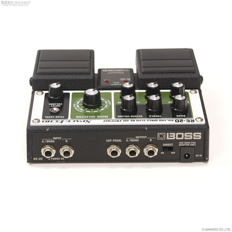 BOSS RE-20 ROLAND Space Echo SUGIZO ディレイ