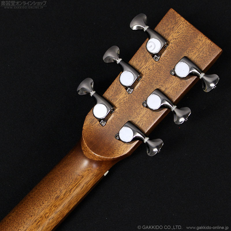 L.Luthier エルルシアー Le Light S アコースティックギター