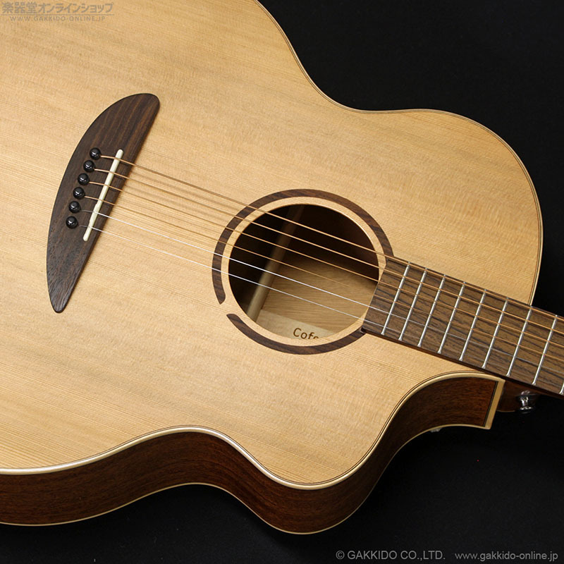 L.Luthier エルルシアー Le Light S アコースティックギター