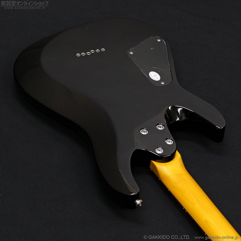 SCHECTER 2020 C-6 Plus STCB [See-Thru Cherry Burst] [中古品