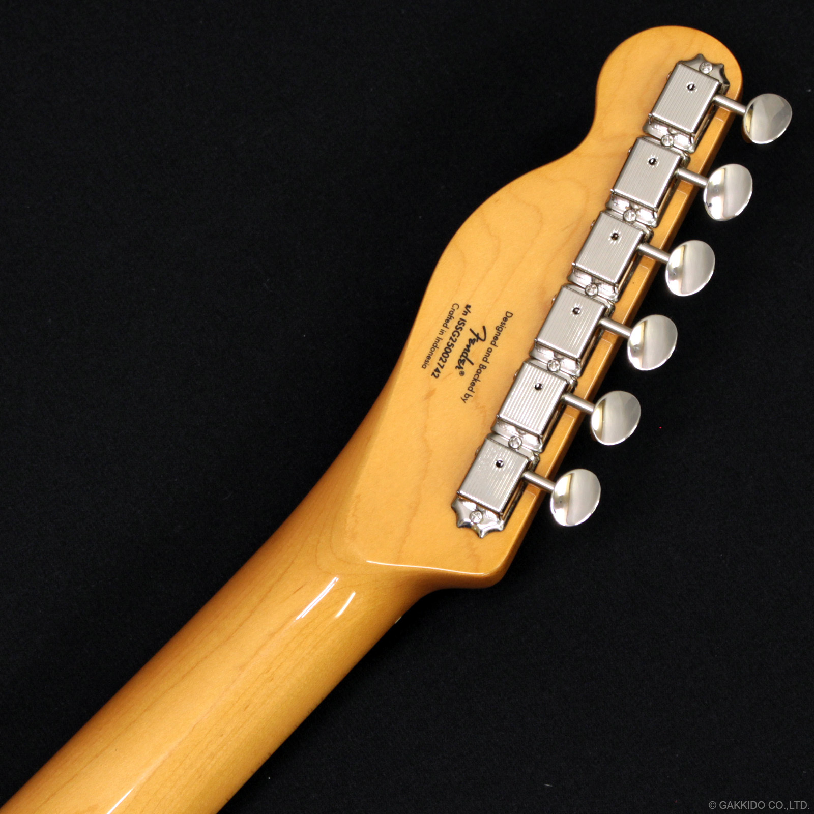 Squier Classic Vibe ‘50s テレキャスター　バタースコッチ Squier - Classic Vibe '50s Telecaster® Maple Fingerboard