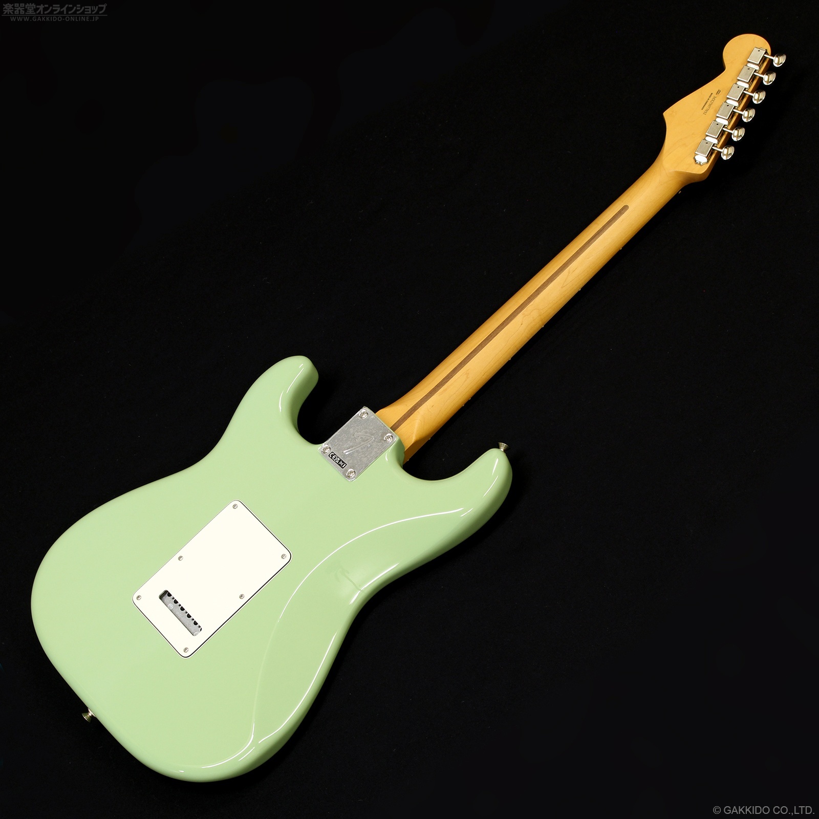 Fender Player II Stratocaster [Birch Green] - 楽器堂オンラインショップ