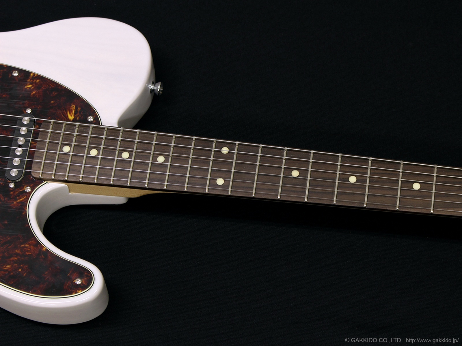 SCHECTER PA-LS/TK [Blonde] - 楽器堂オンラインショップ